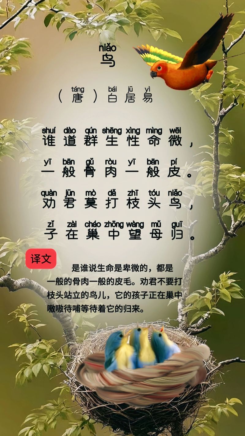 鸟在古诗中,常托何情?