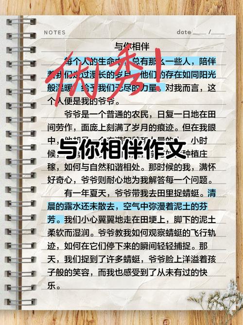 与平凡相伴初中作文