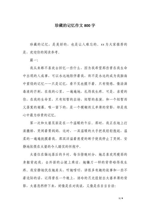 初二作文珍藏的记忆