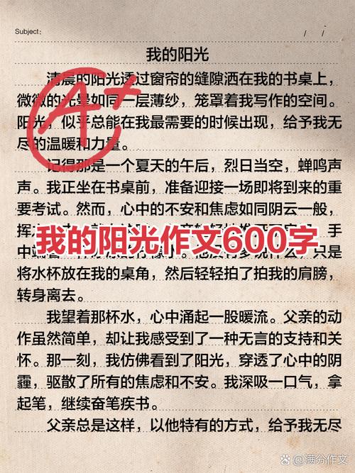 心中不落的太阳,究竟指何物?