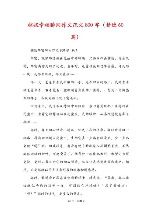 幸福究竟该如何捕捉？