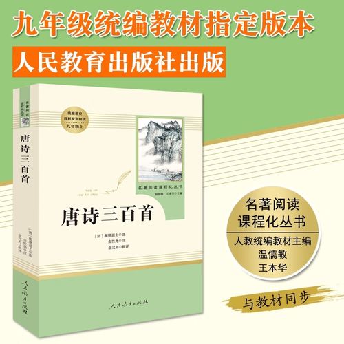 人教版九年级语文阅读有哪些重点考点？