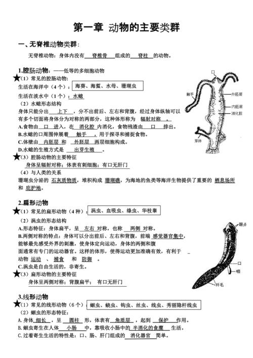 八年级上册生物第一节学什么？