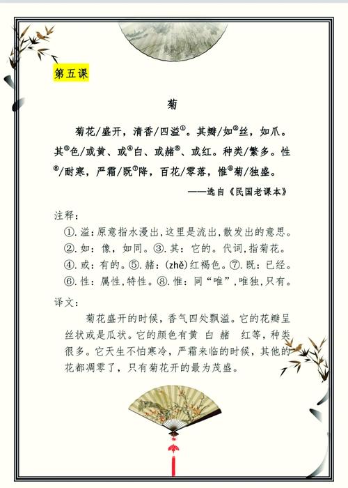 古诗菊花阅读理解答案是什么？