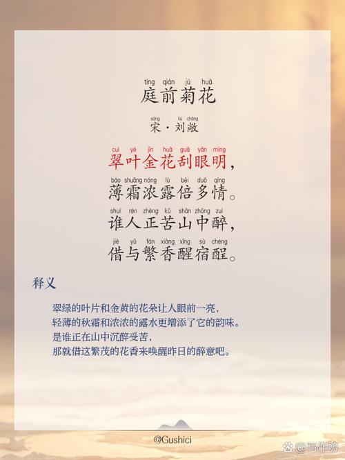 古诗菊花阅读理解答案是什么？