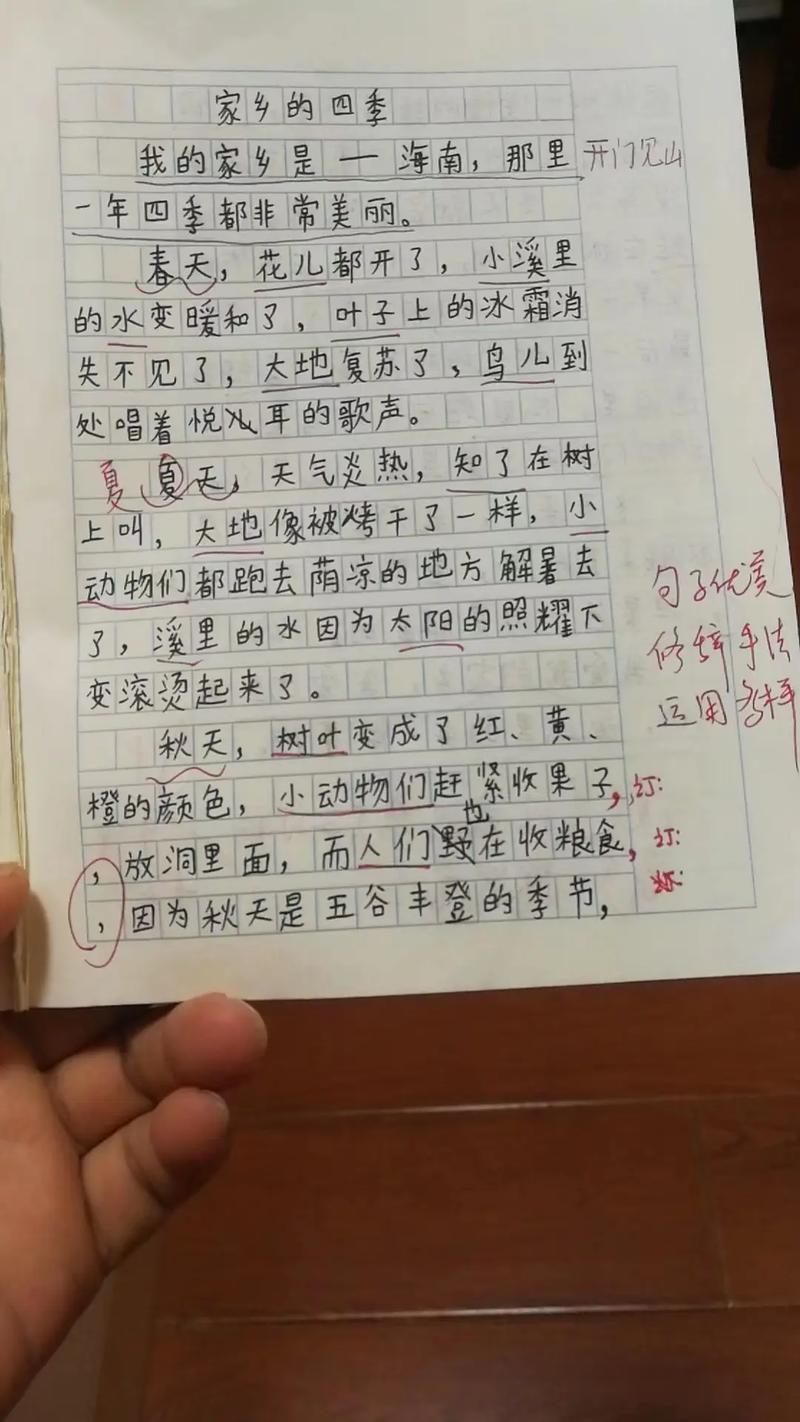 故乡的四季藏着怎样的独特记忆？