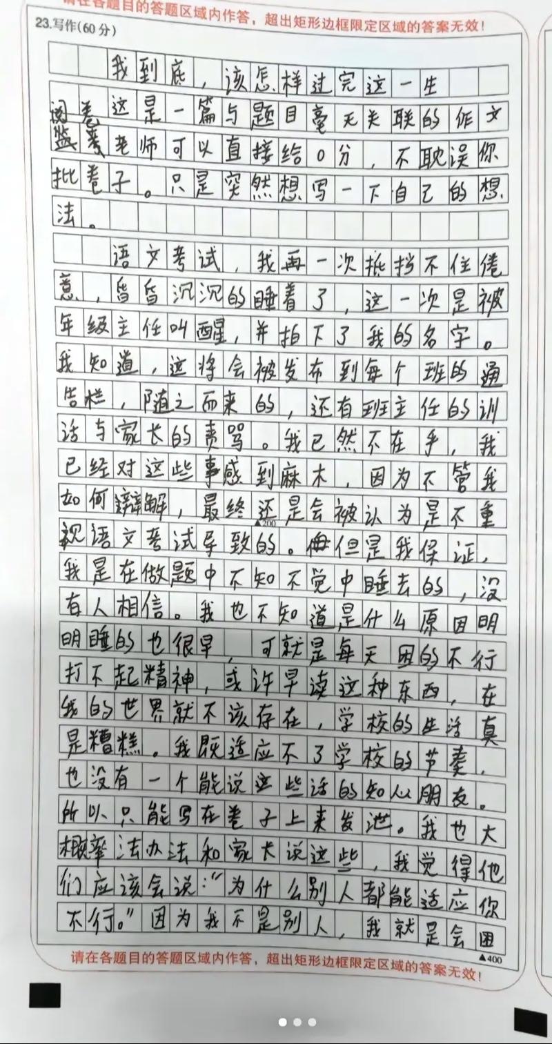 2012年零分作文为何零分?