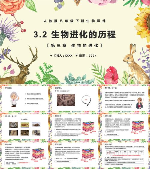 人教版八年级生物课件如何高效学习?