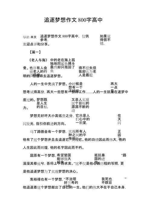 追求梦想的作文高中