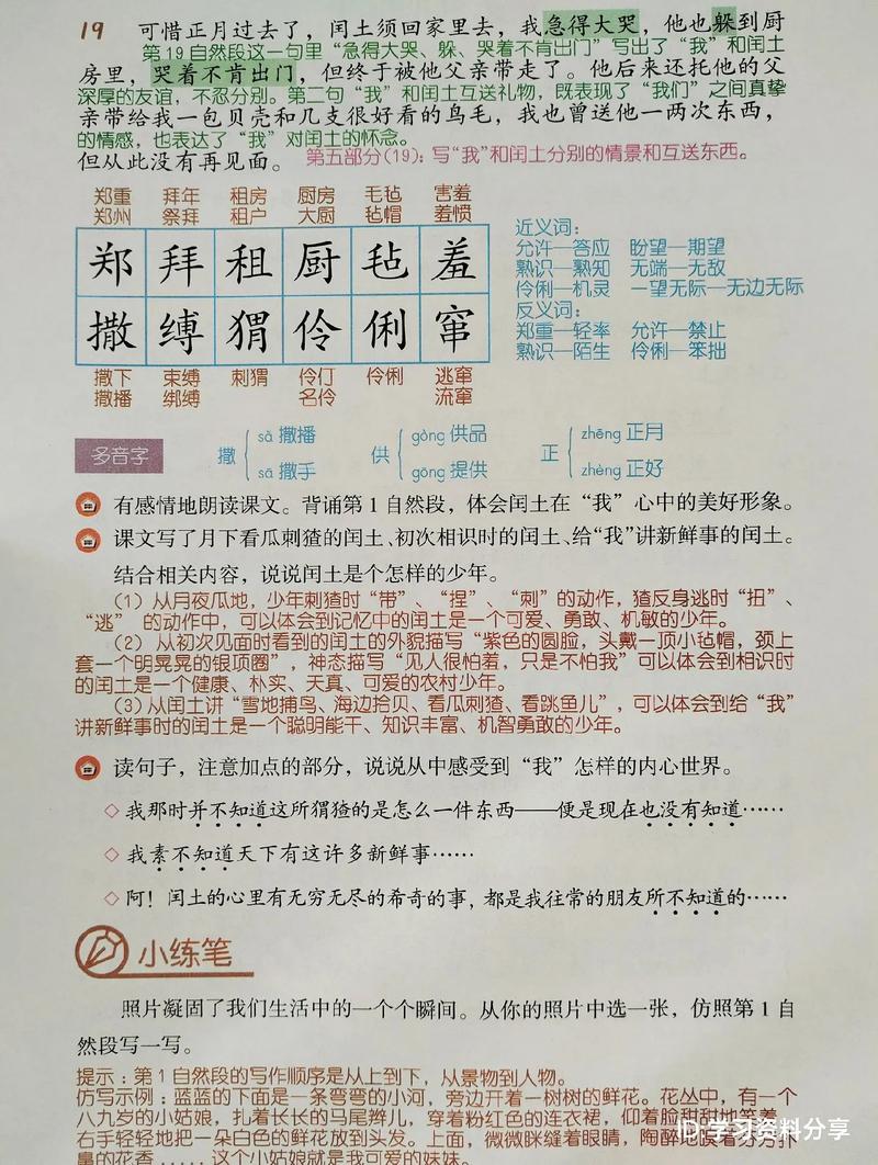 七年级上册语文25课