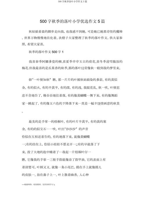 落叶飘零时，藏着怎样的生命密语？