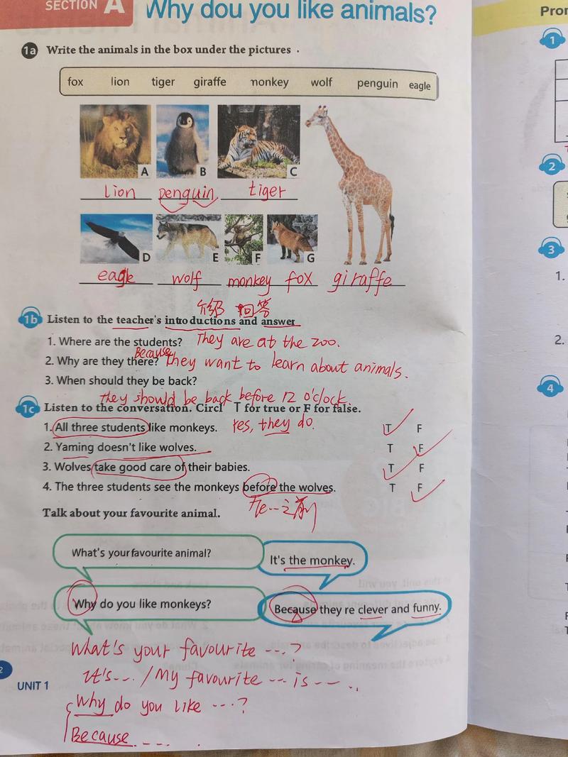 七年级下册英语教与学,如何提升效果?