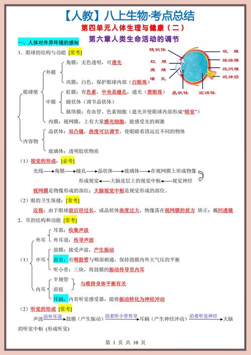 八年级上生物期中，核心考点有哪些？