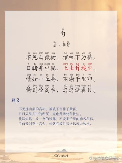 必修四古诗重点句有哪些考点与难点？