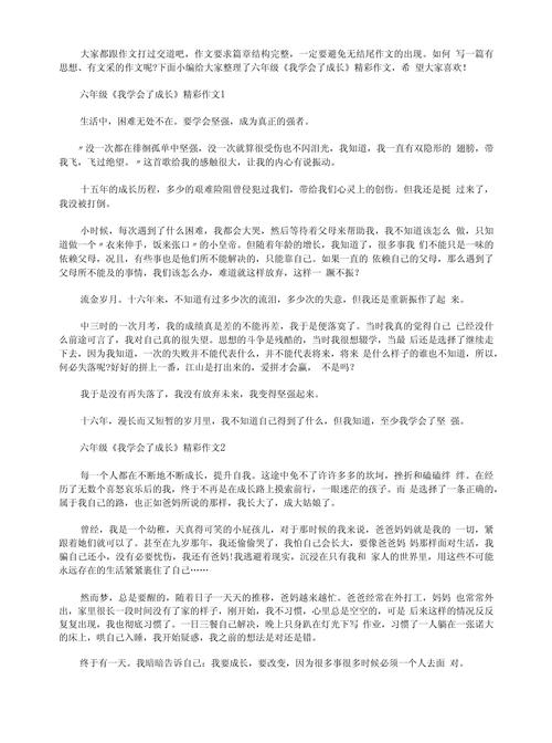 我学会了什么？成长路上的收获