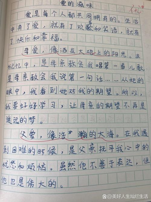 少年何来愁滋味？作文如何写愁绪？