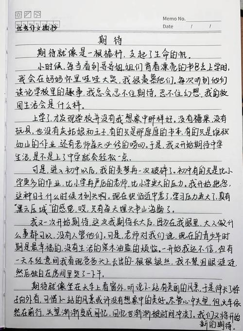 潜力如何被发掘与绽放？