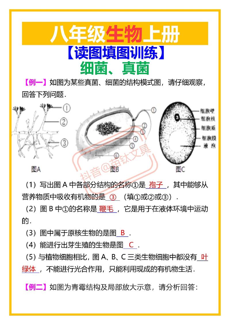 细菌和真菌在八年级生物中扮演什么角色？
