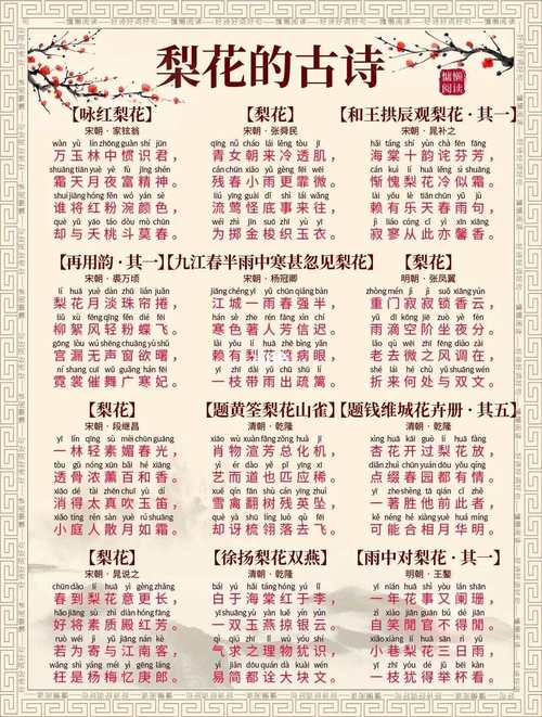 古诗里梨花诗句，藏着哪些春日密码？
