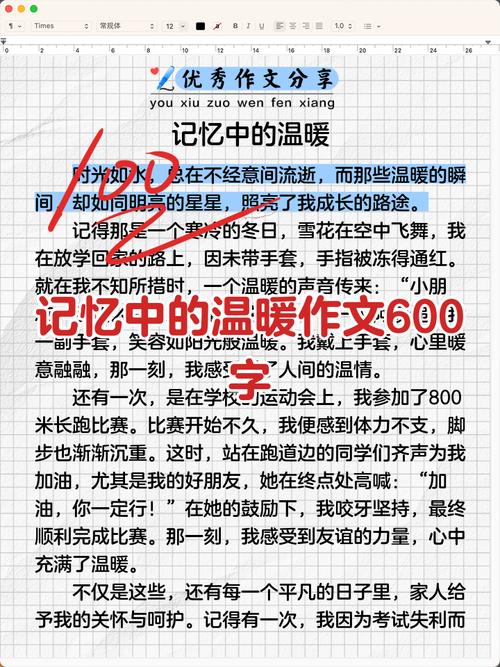 温暖的记忆满分作文