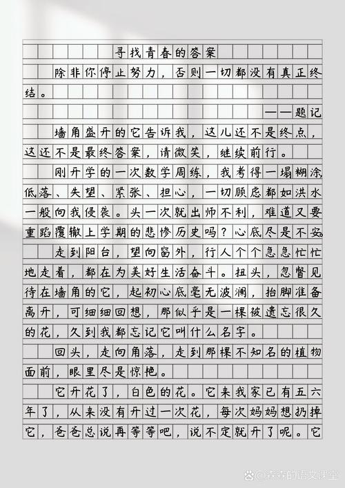 终于找到了答案作文