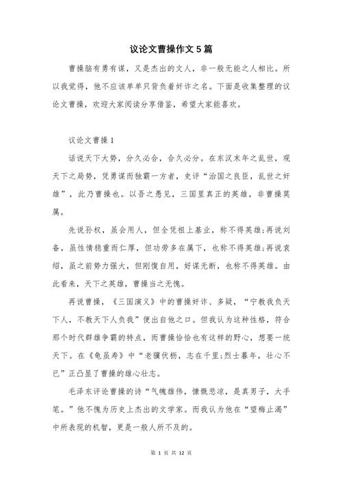 曹操是英雄还是奸雄？