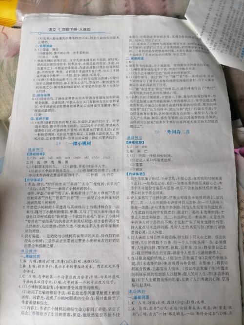 七年级语文浙教版答案哪里找？