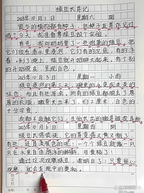 种子如何冲破泥土，迎来第一缕阳光？