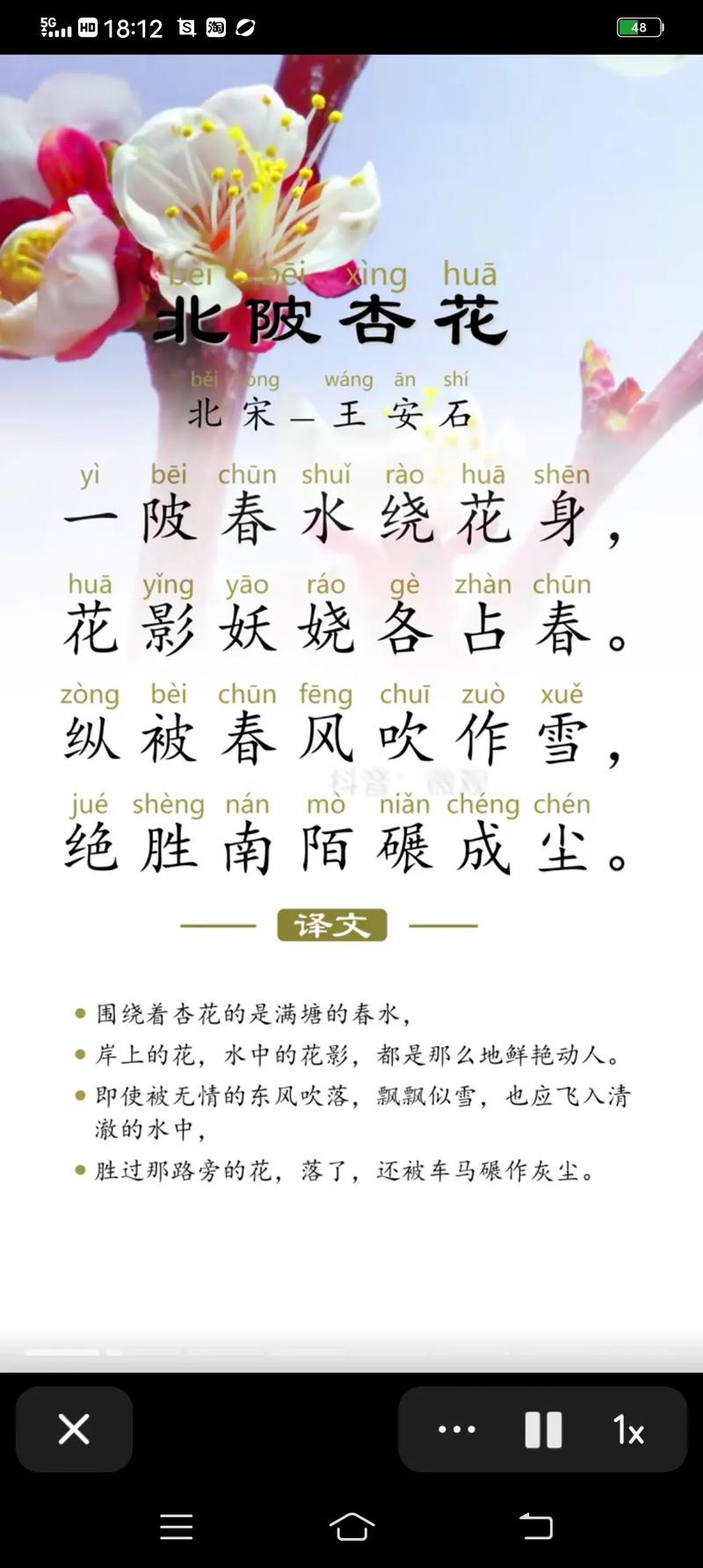 古诗中杏花意象有哪些经典篇章？