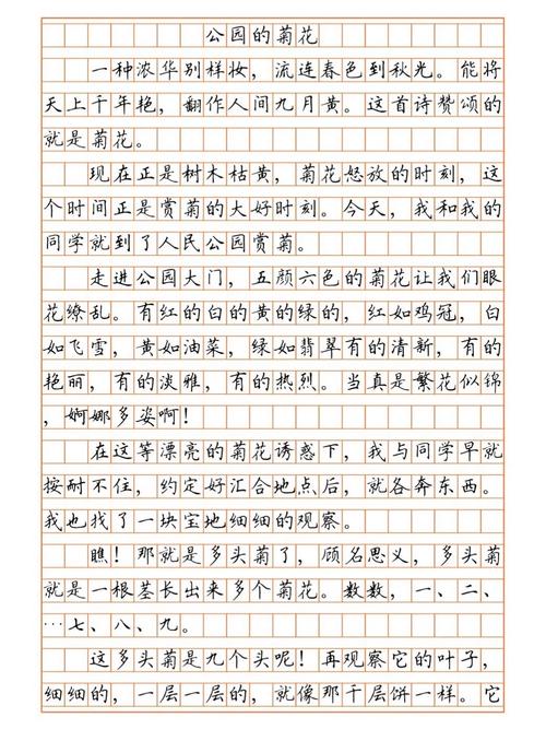 菊花作文如何写出独特韵味？