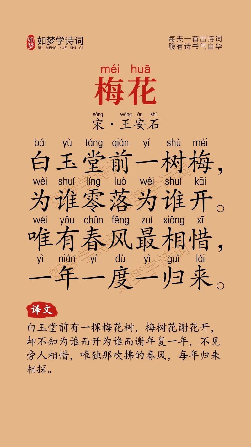 幼儿园古诗梅花说课稿如何设计？