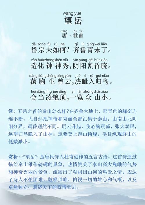 望岳中考阅读理解常考什么题型？