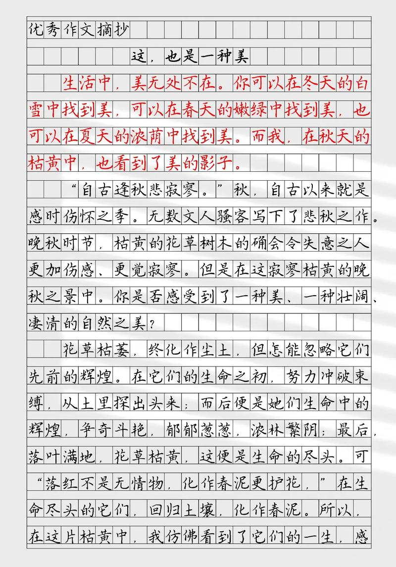 美究竟如何无声征服人心?