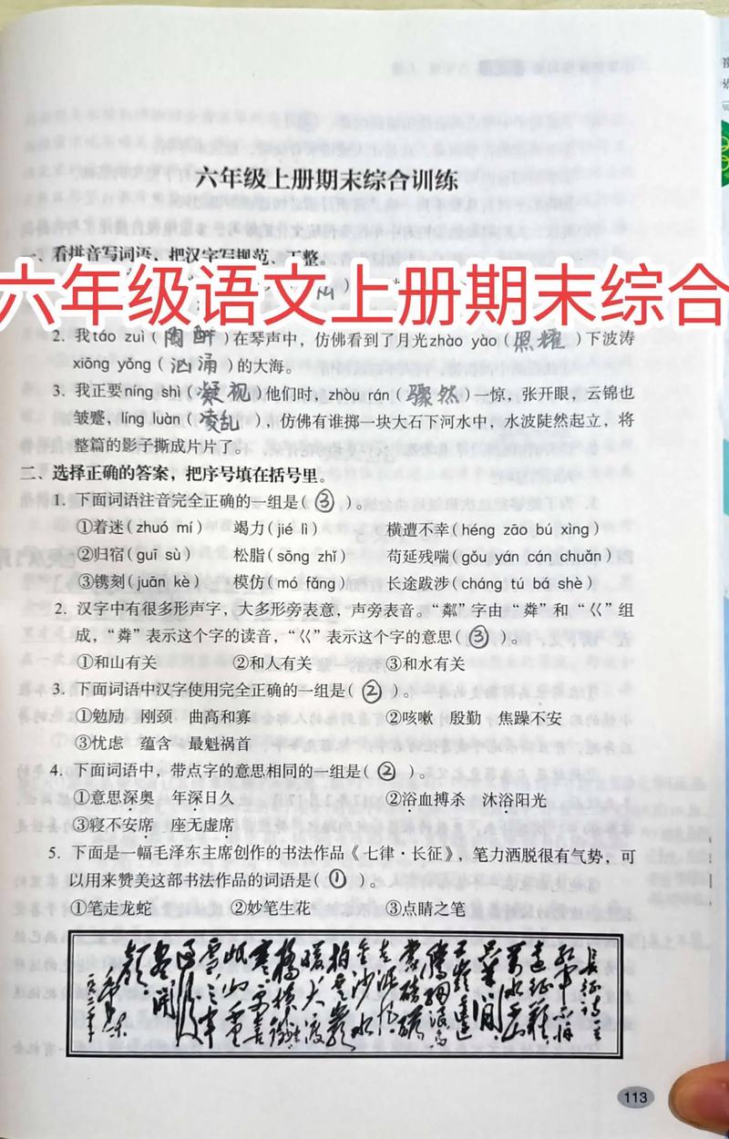 6年级语文上册练习册答案怎么找？