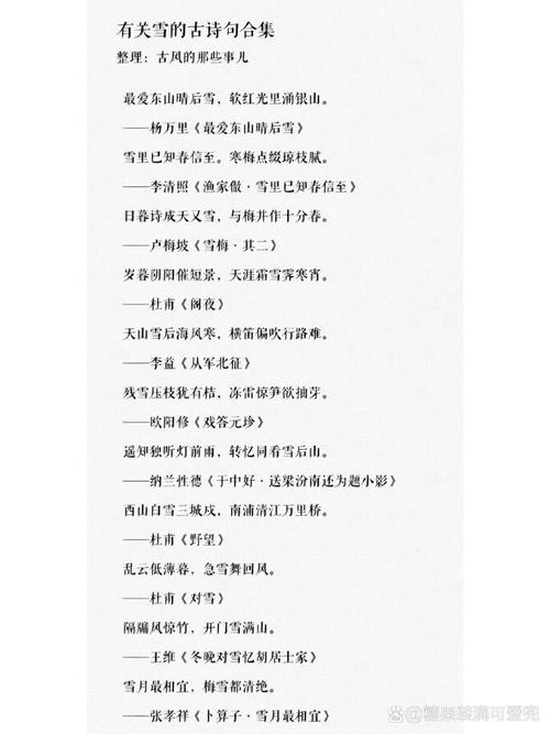 冬雪自创古诗16字，有何深意？