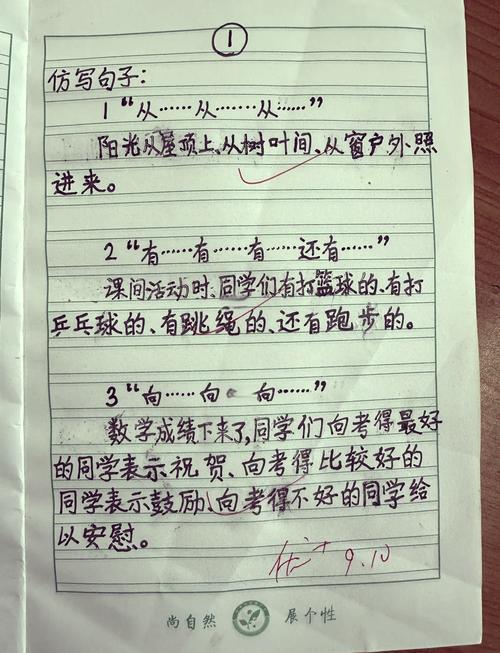 从什么到什么的作文