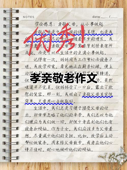 关于孝顺的作文题目