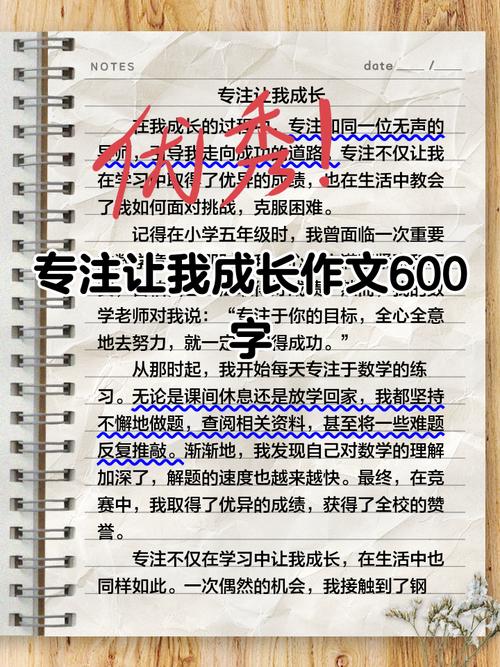 专注，是成功的关键还是束缚的枷锁？