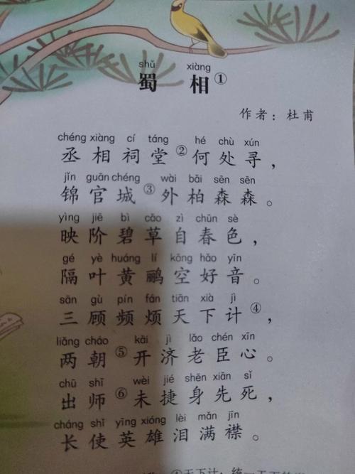 为何稍不巩固，古诗就没了？