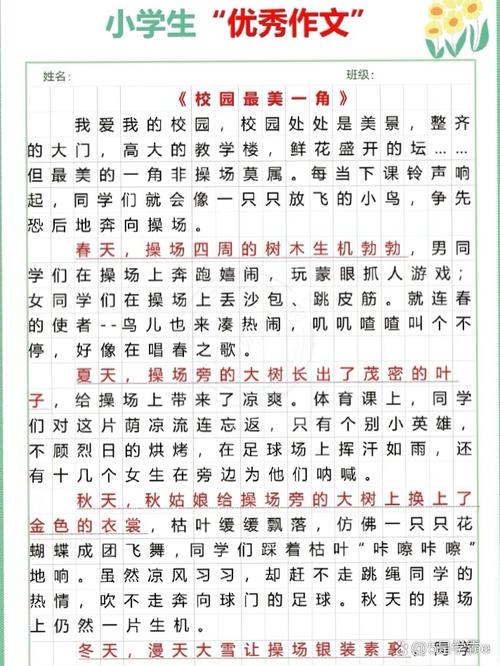 校园一角藏着怎样的童年小秘密？