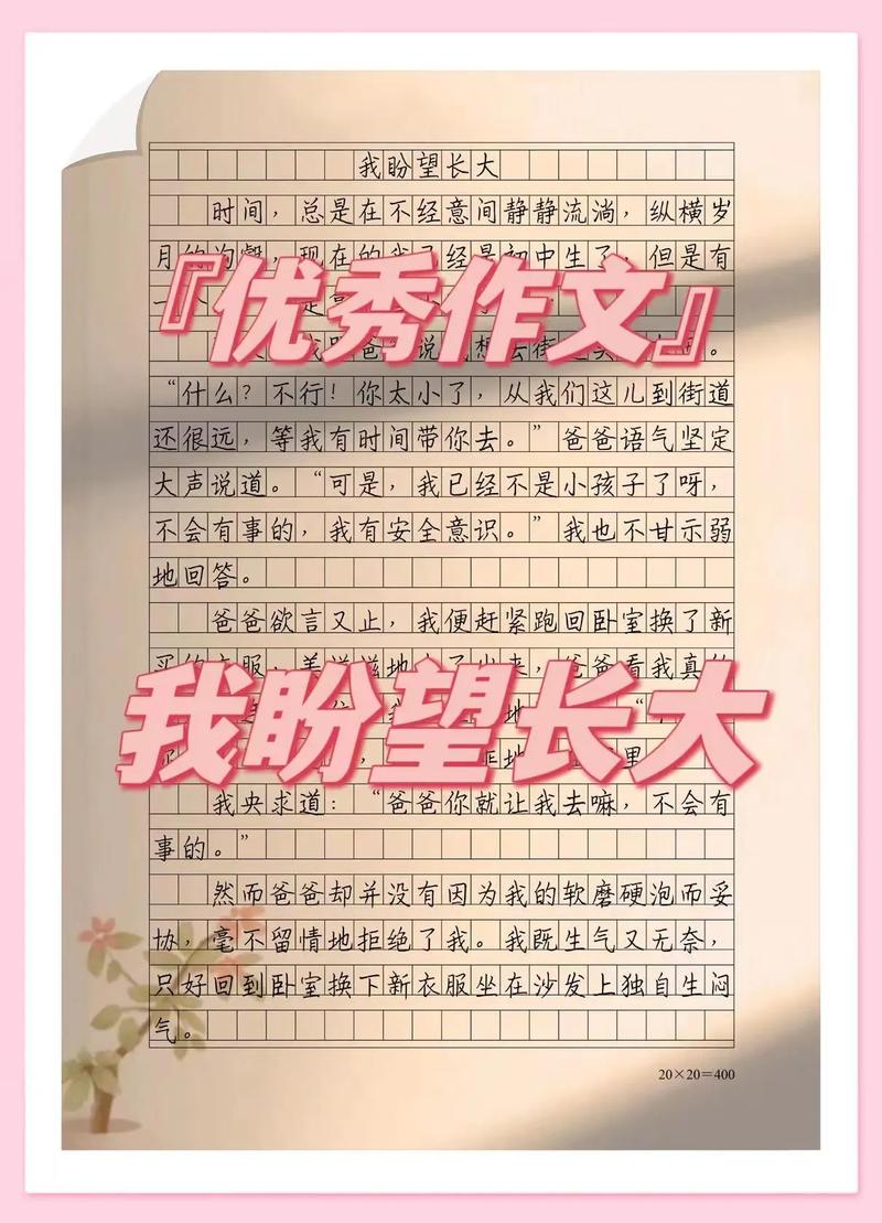 我渴望得到什么作文