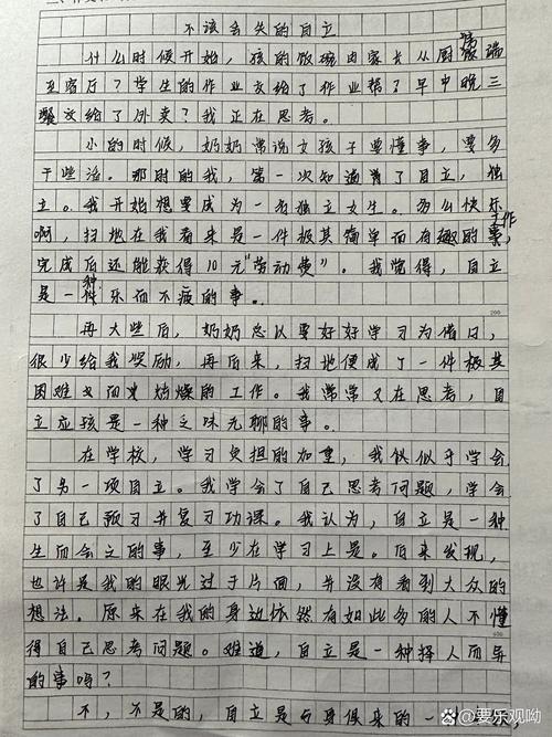 不该丢失的什么作文