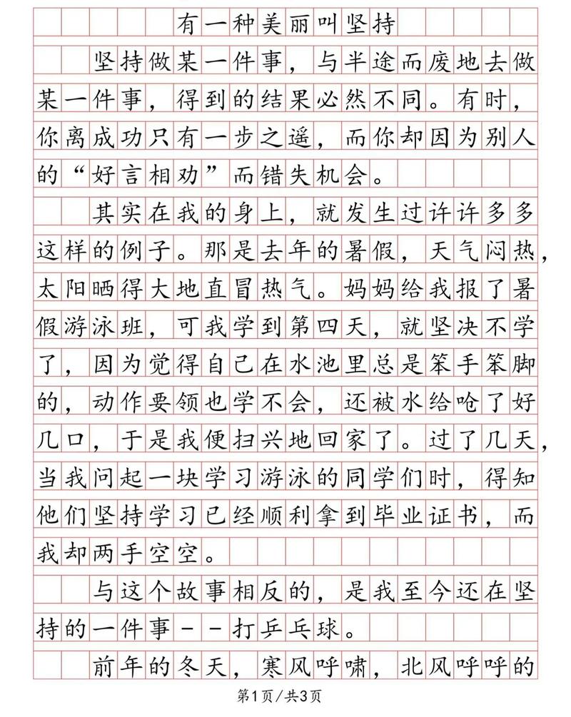 有关坚持不懈的作文