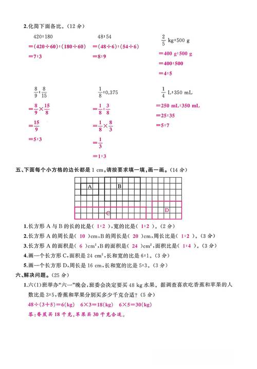 六年级数学单元练习题怎么高效掌握考点？