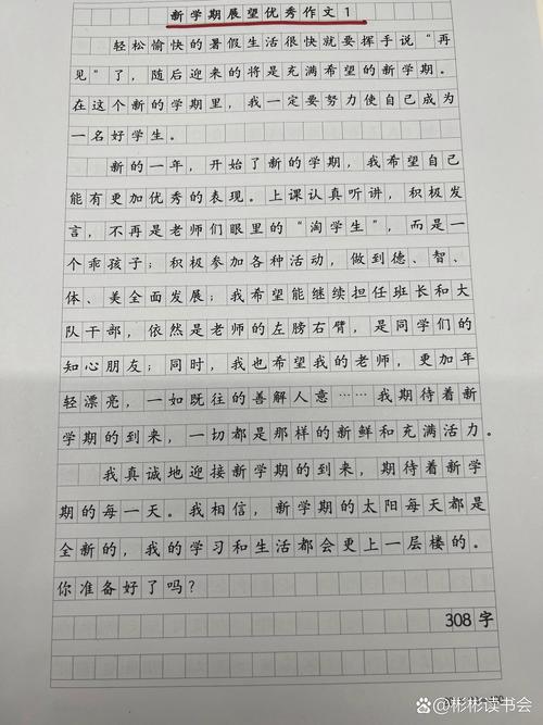 目标,是照亮前路的灯塔还是束缚脚步的枷锁?