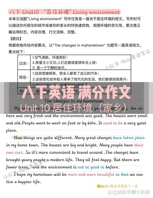 东莞英语作文该写哪些亮点？