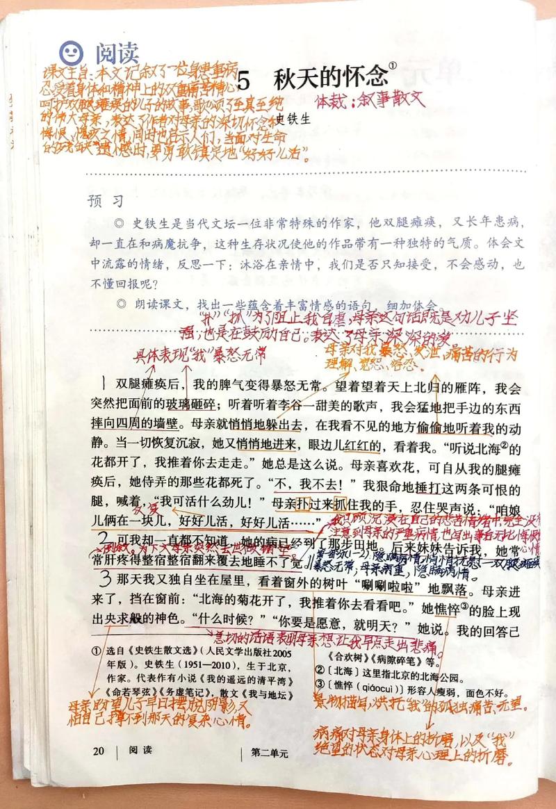 秋天的怀念中母亲的爱为何如此深沉？