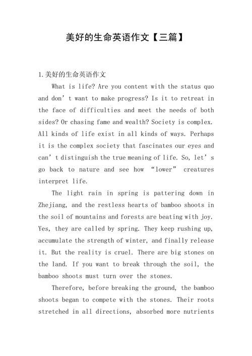 生命的意义究竟该如何用英语表达？