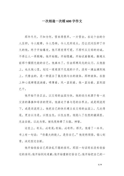 一次相逢一份暖作文