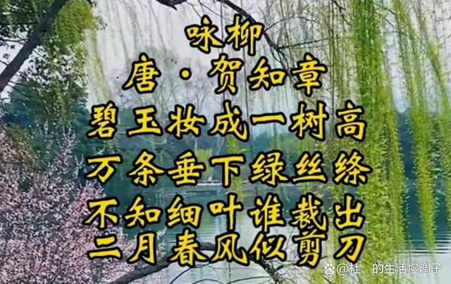 古诗里，春天的声音藏在哪里？